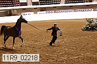 11r9_02218 proof