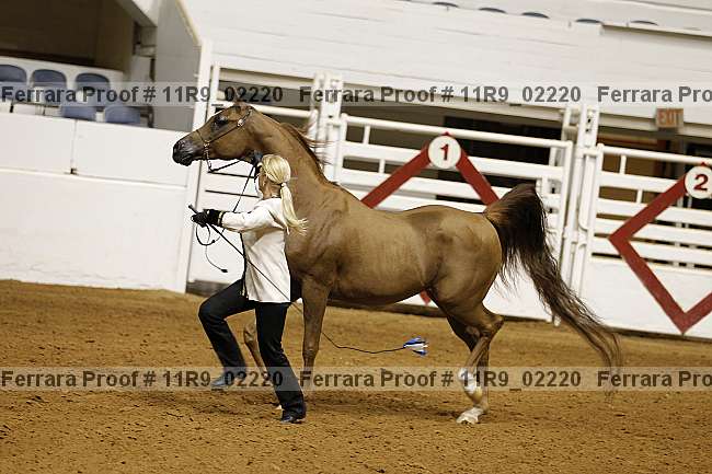Proof 11r9_02220
