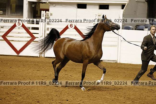 Proof 11r9_02224