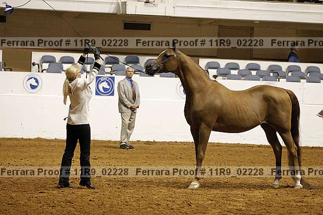 Proof 11r9_02228