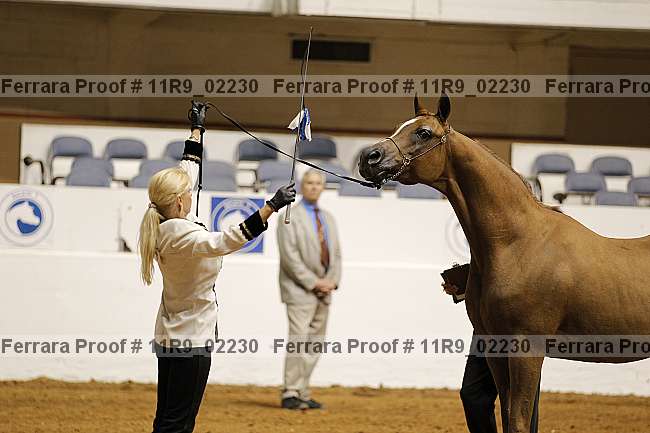 Proof 11r9_02230