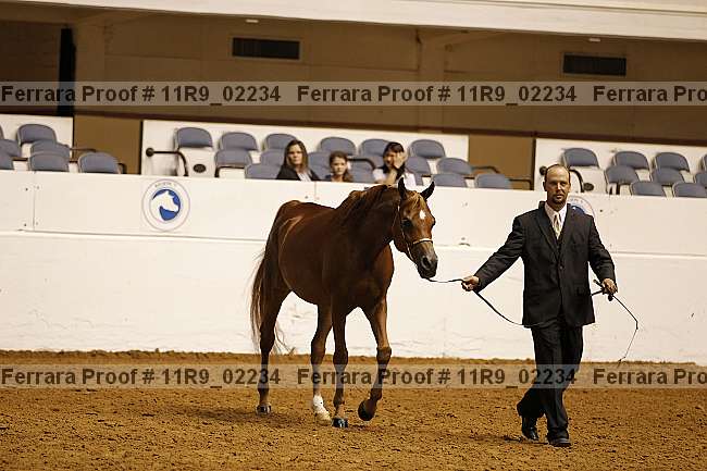 Proof 11r9_02234