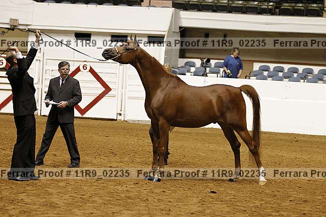 Proof 11r9_02235