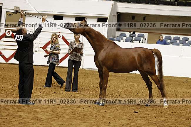 Proof 11r9_02236