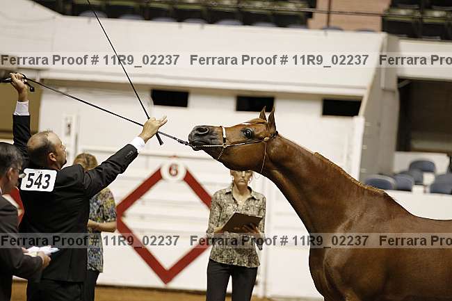 Proof 11r9_02237