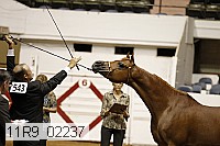 11r9_02237 proof