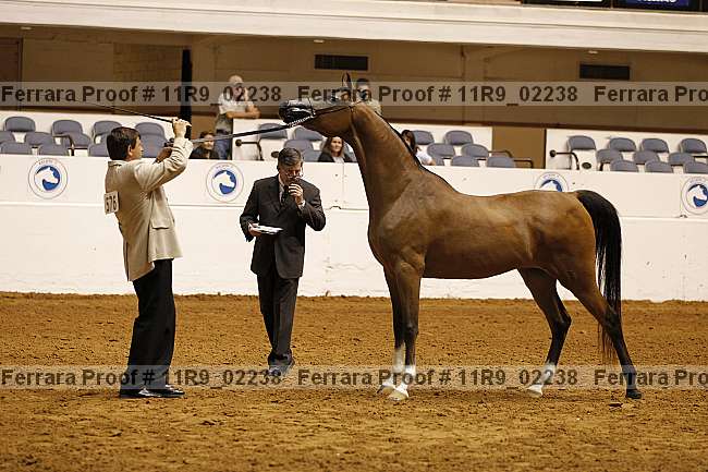 Proof 11r9_02238