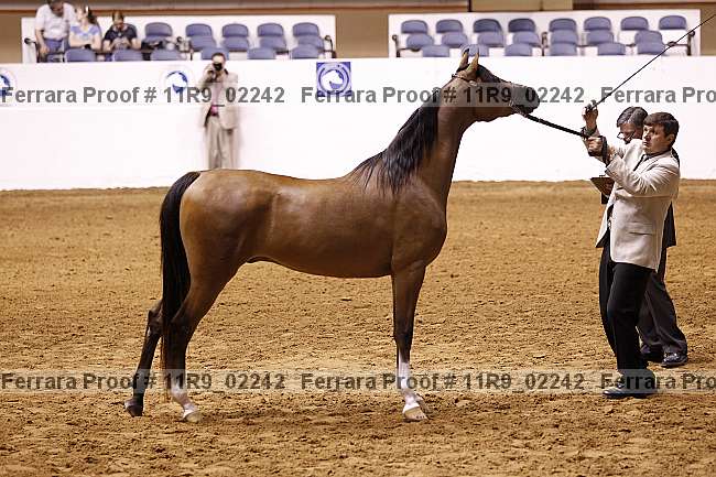Proof 11r9_02242