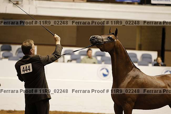 Proof 11r9_02248
