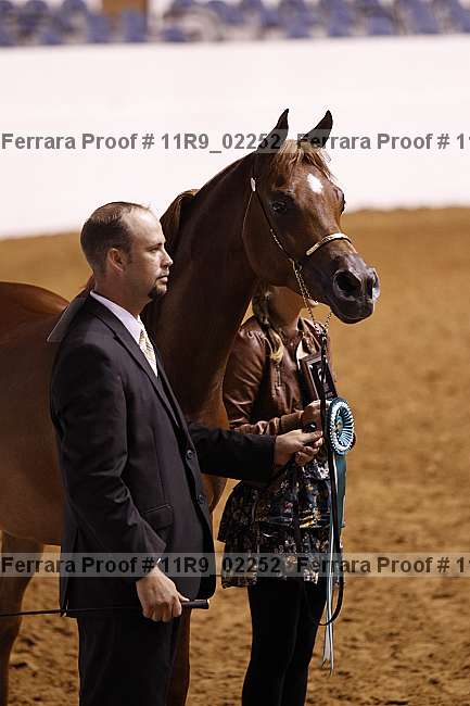 Proof 11r9_02252
