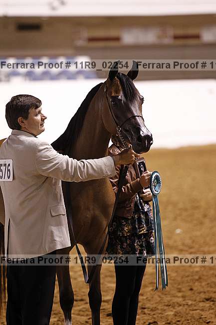 Proof 11r9_02254
