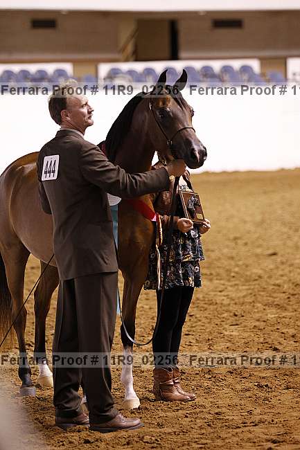 Proof 11r9_02256