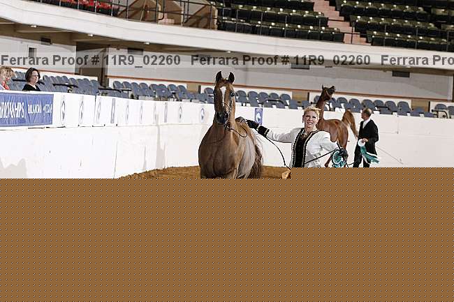 Proof 11r9_02260