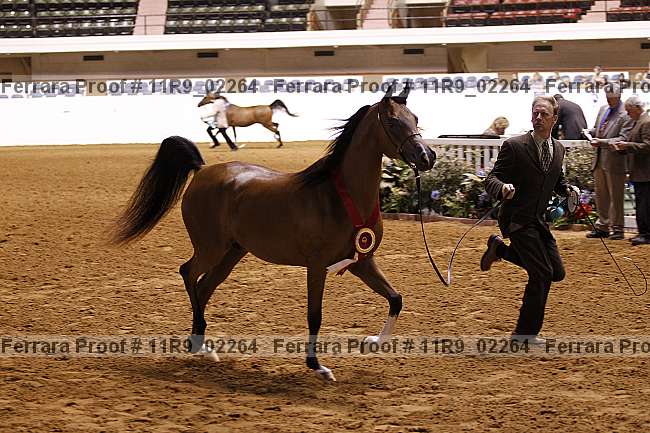 Proof 11r9_02264