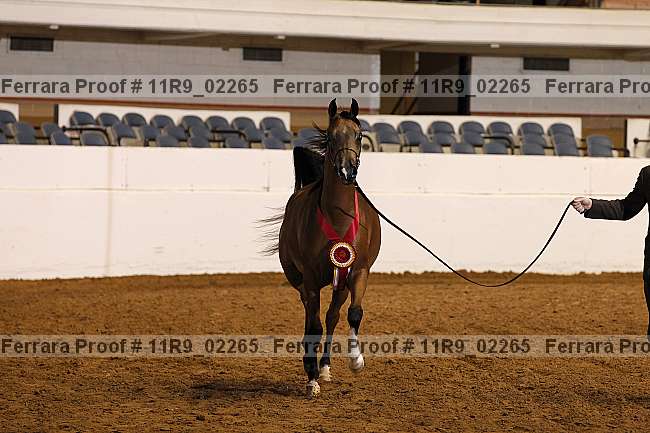 Proof 11r9_02265