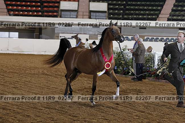 Proof 11r9_02267