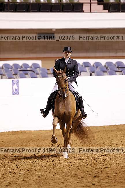 Proof 11r9_02375