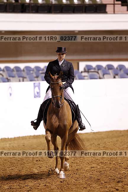 Proof 11r9_02377