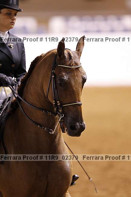 Proof 11r9_02379