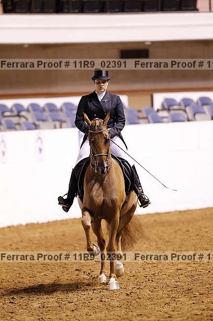 Proof 11r9_02391
