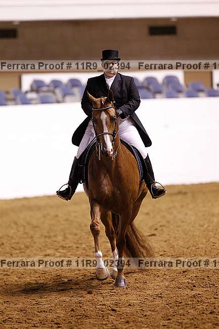 Proof 11r9_02394