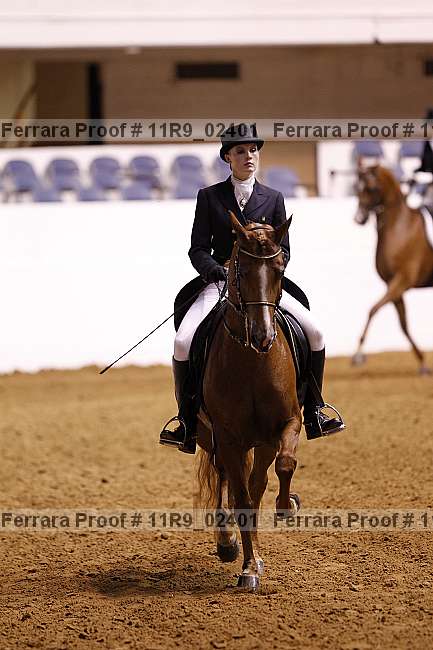 Proof 11r9_02401