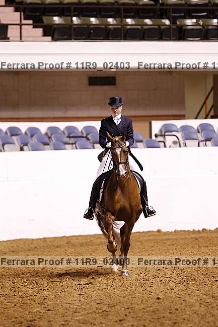 Proof 11r9_02403