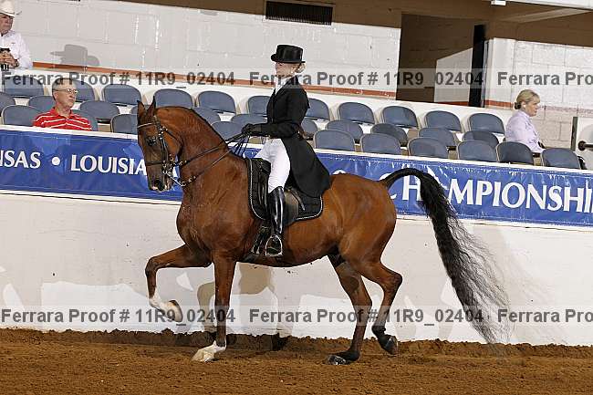 Proof 11r9_02404
