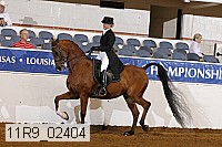 11r9_02404 proof