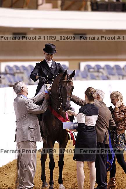 Proof 11r9_02405