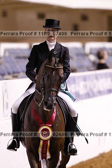 Proof 11r9_02409