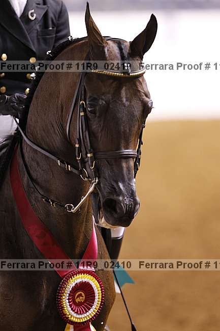 Proof 11r9_02410