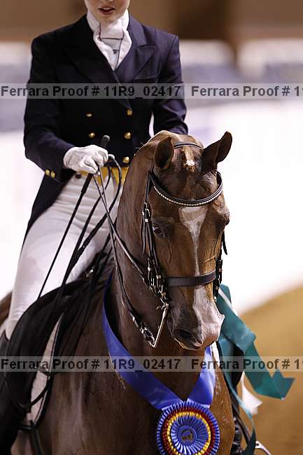 Proof 11r9_02417