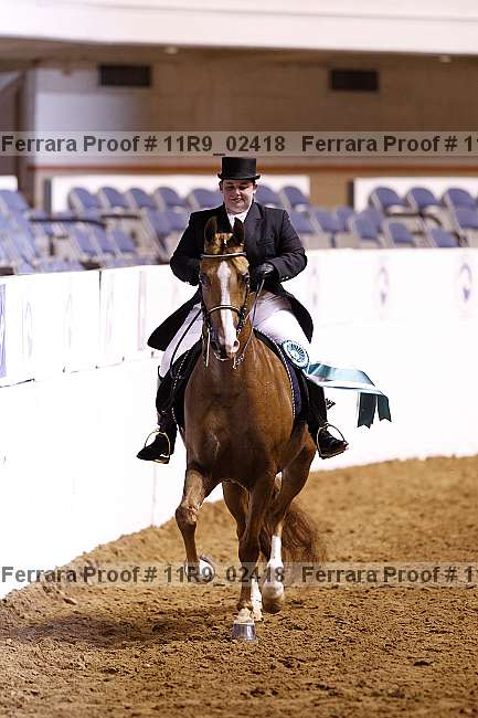 Proof 11r9_02418