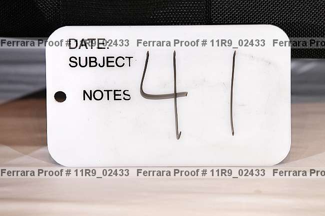 Proof 11r9_02433