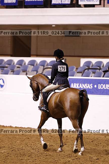Proof 11r9_02434
