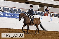 11r9_02438 proof