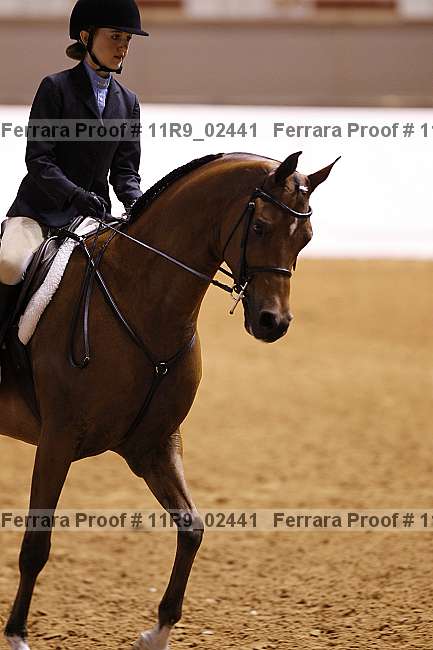 Proof 11r9_02441