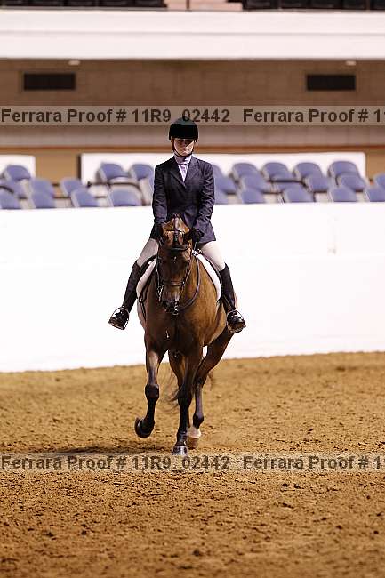 Proof 11r9_02442