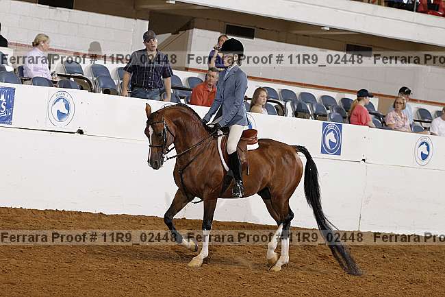 Proof 11r9_02448