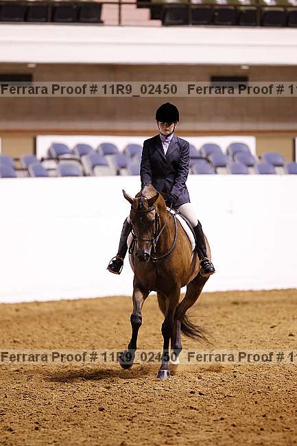 Proof 11r9_02450