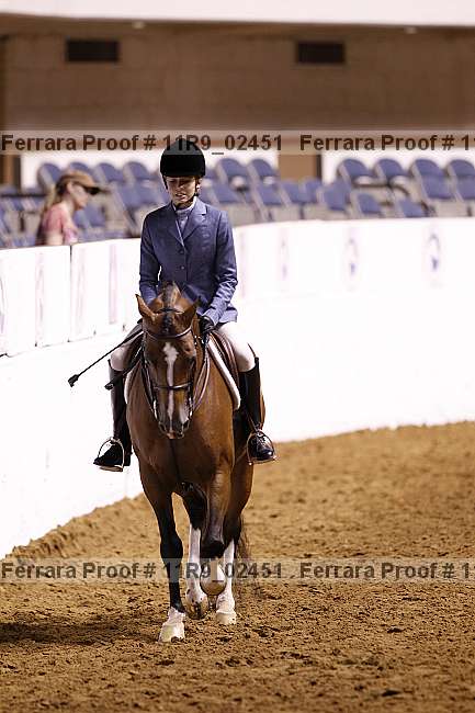 Proof 11r9_02451