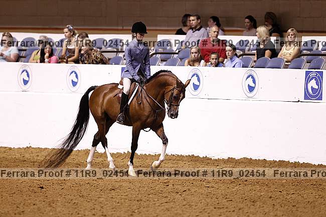 Proof 11r9_02454