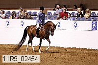11r9_02454 proof