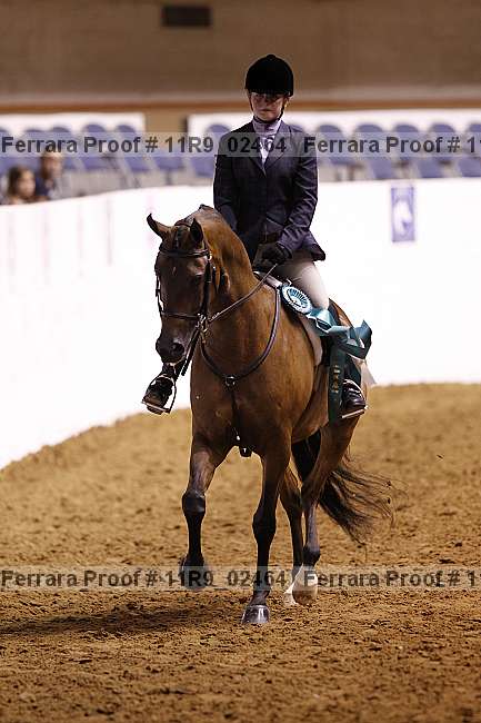 Proof 11r9_02464