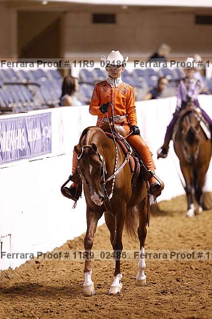 Proof 11r9_02486