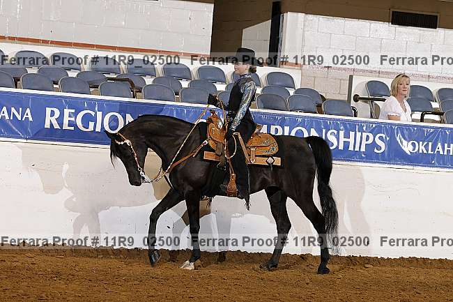 Proof 11r9_02500