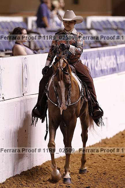 Proof 11r9_02509