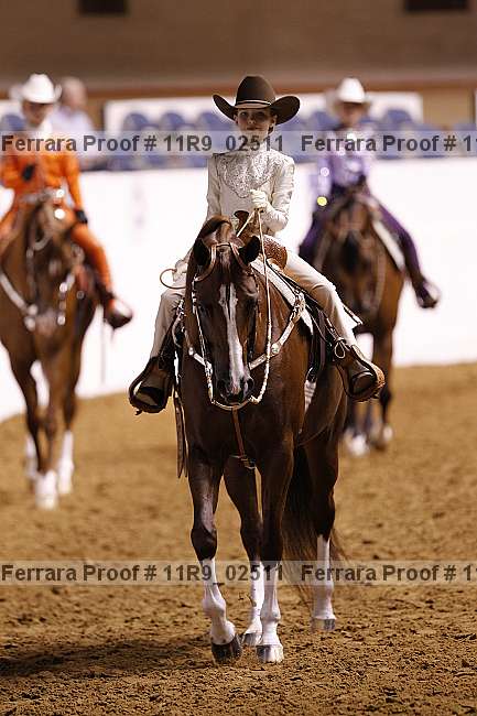 Proof 11r9_02511