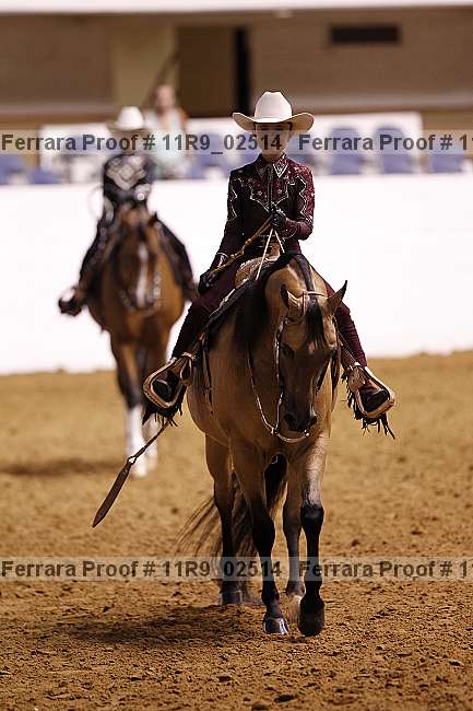 Proof 11r9_02514